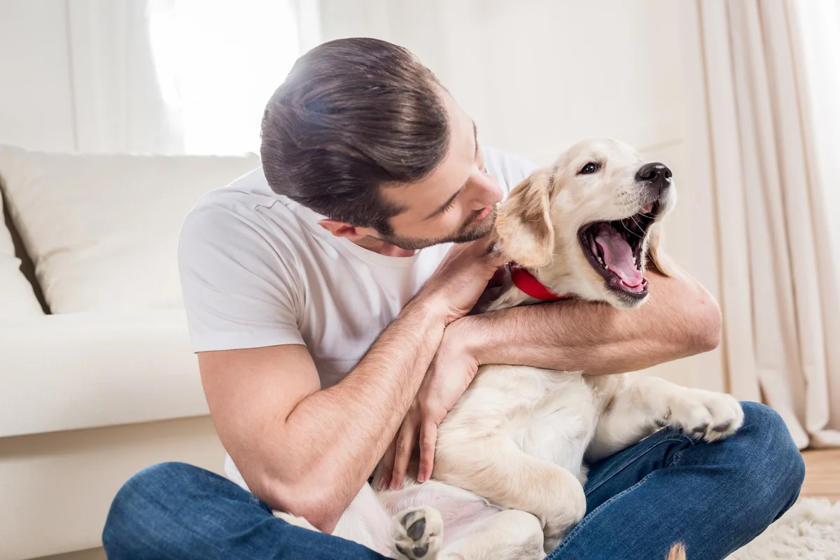 Un homme prend un jeune Golden Retriever dans ses bras