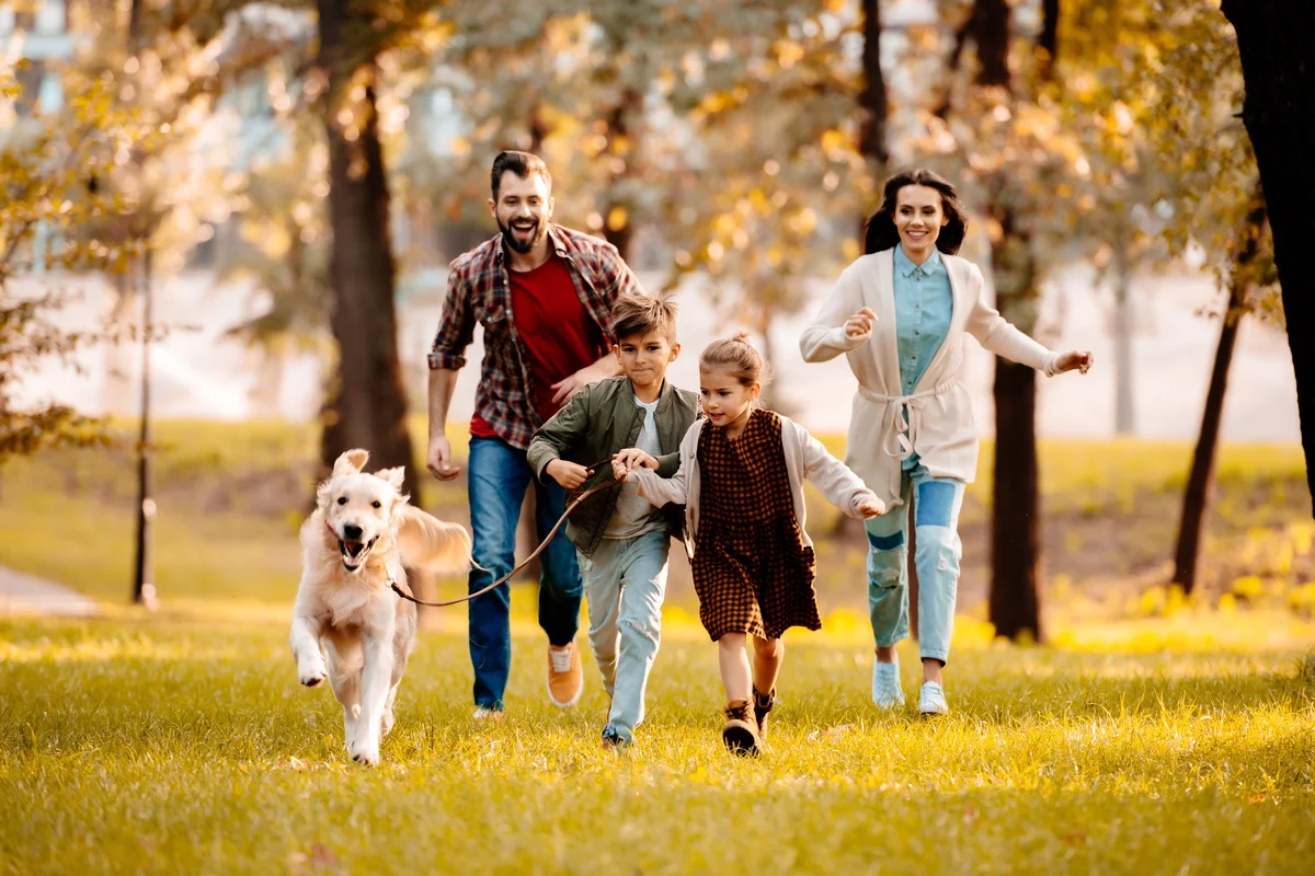Une famille promène son Golden Retriever dans un parc