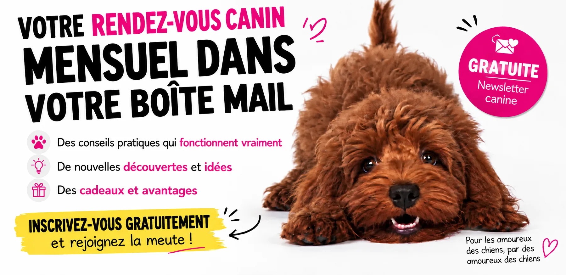 Votre rendez-vous canin mensuel dans votre boîte mail : conseils pratiques, nouvelles découvertes et petits cadeaux.