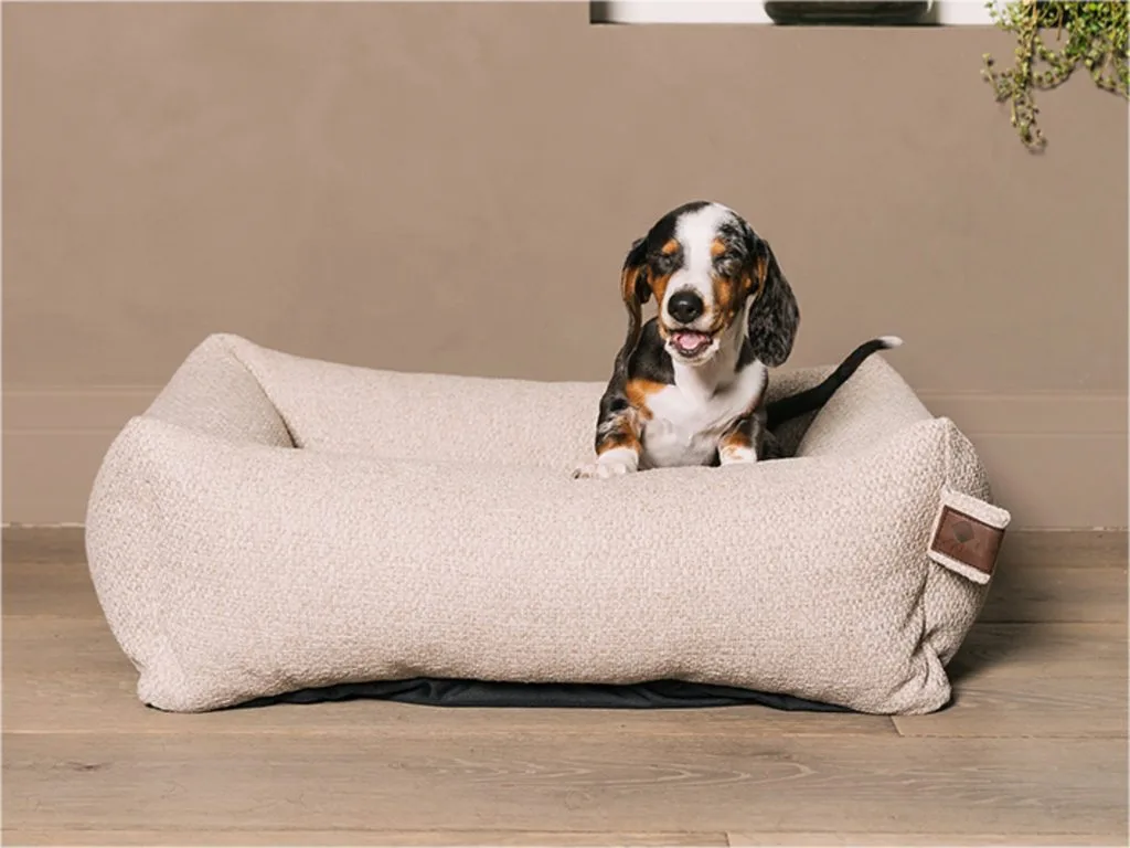 Un lit pour chien