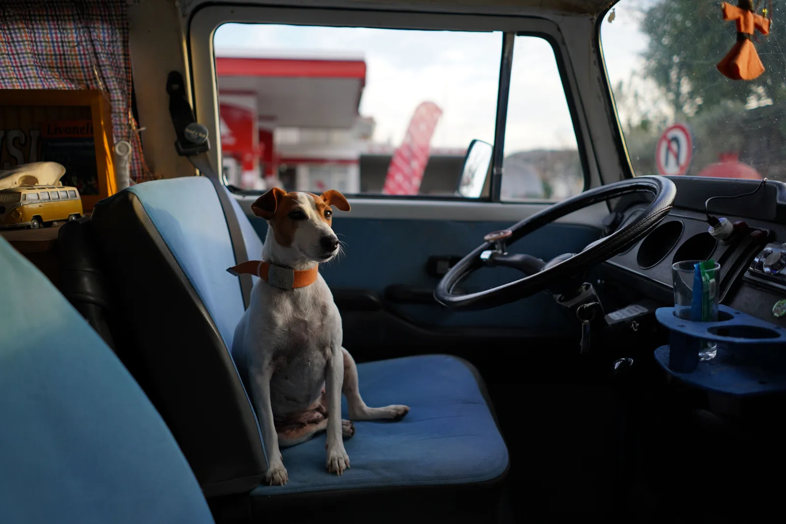 Hond zit alleen in een geparkeerd busje