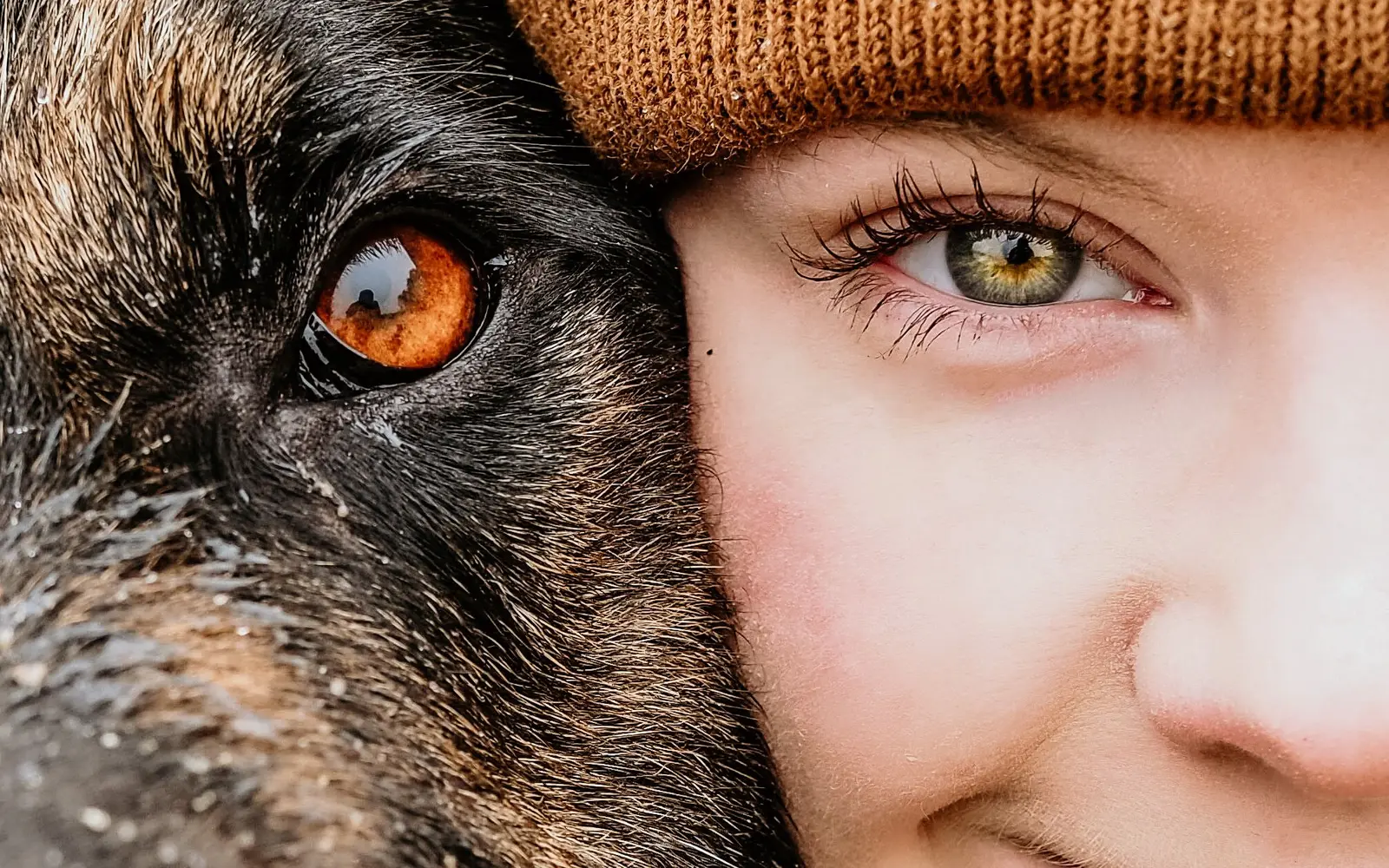 Une femme et son chien se regardent de près